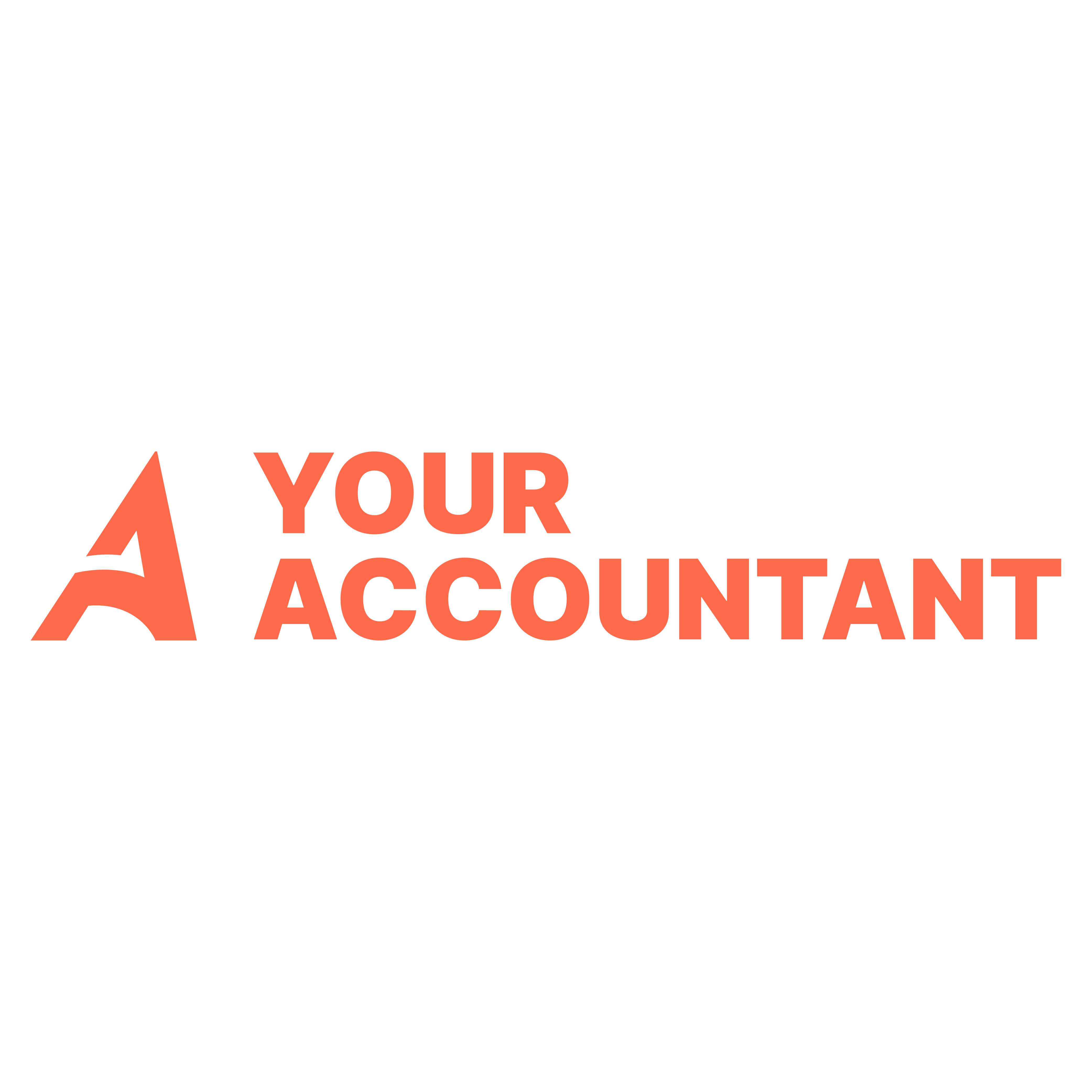 Your Accountant